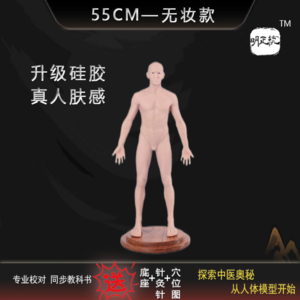 【55cm 无妆款】
