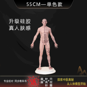 【55cm 单色款】