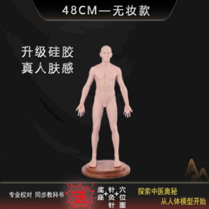 【48cm无妆款】